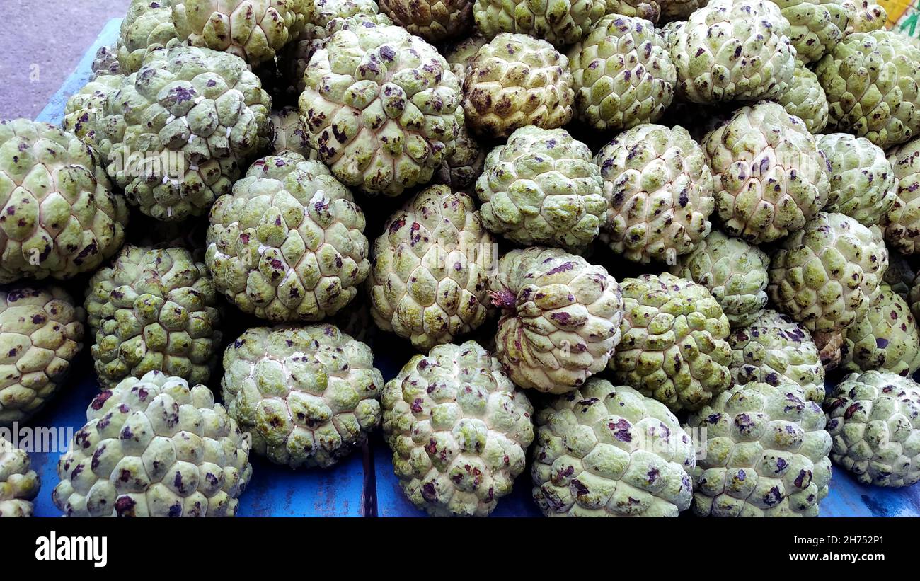 A close up custard apple fruit to sell in fresh market. Annona reticulata Stock Photo