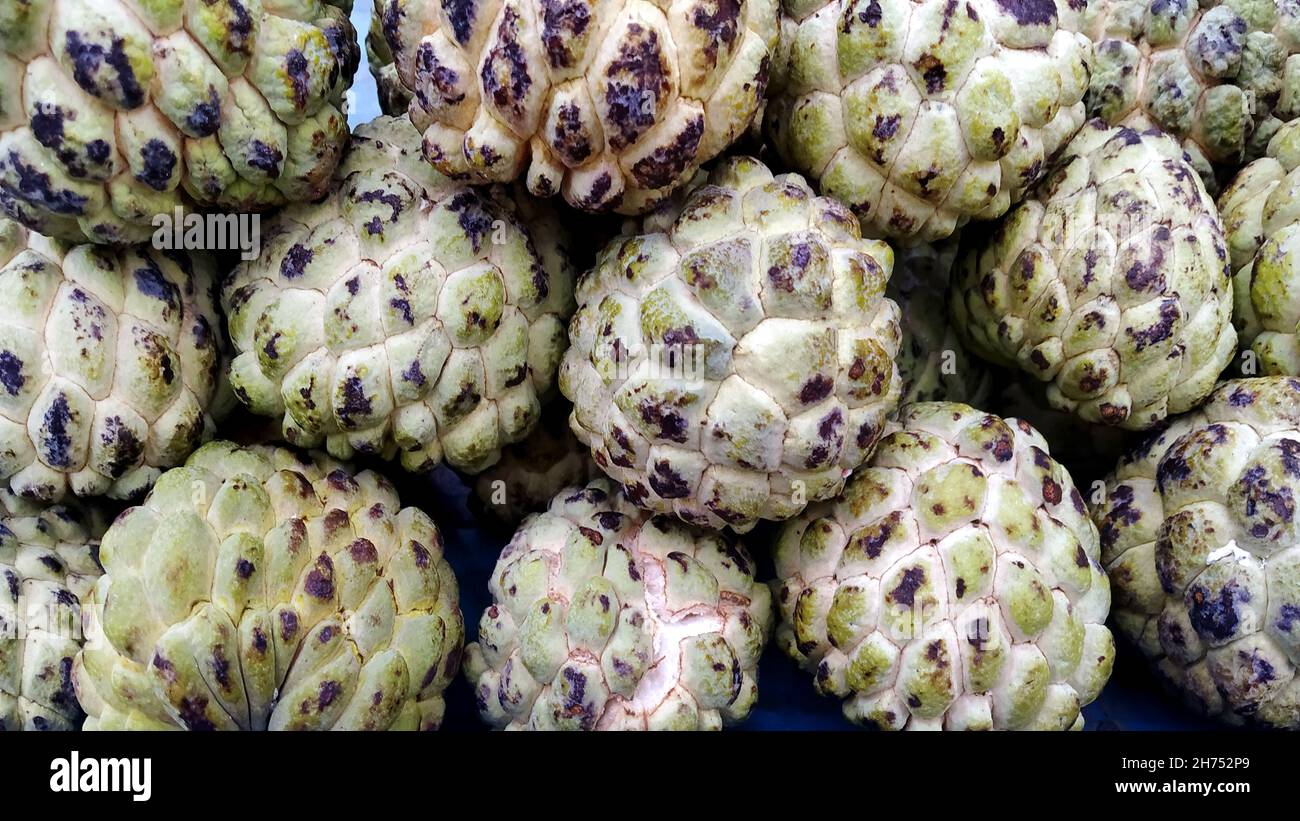 A close up custard apple fruit to sell in fresh market. Annona reticulata Stock Photo