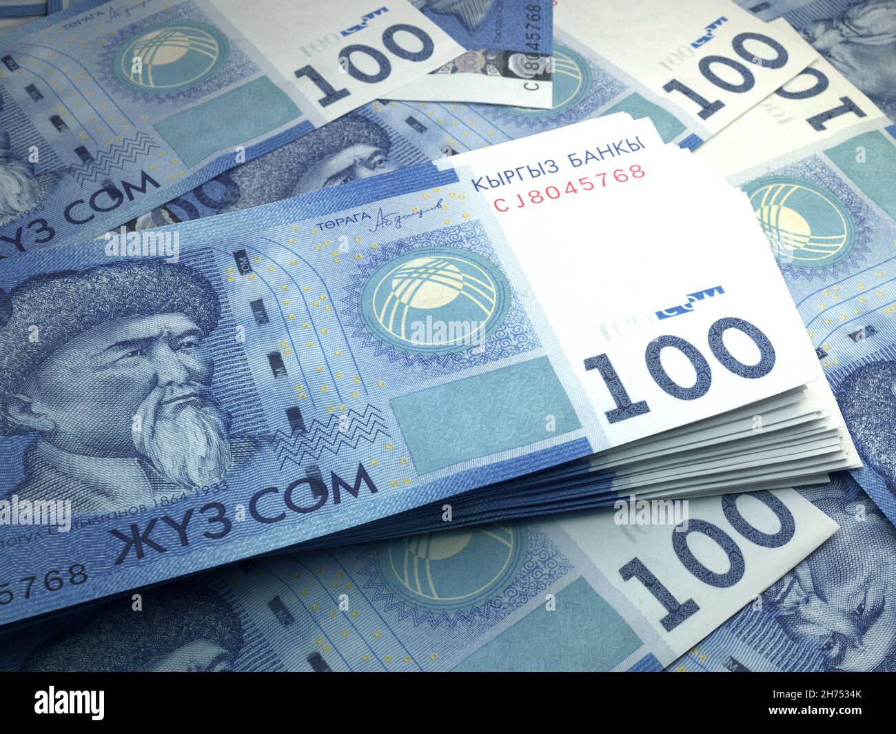 Mushukdagi ayolning havaskor surati