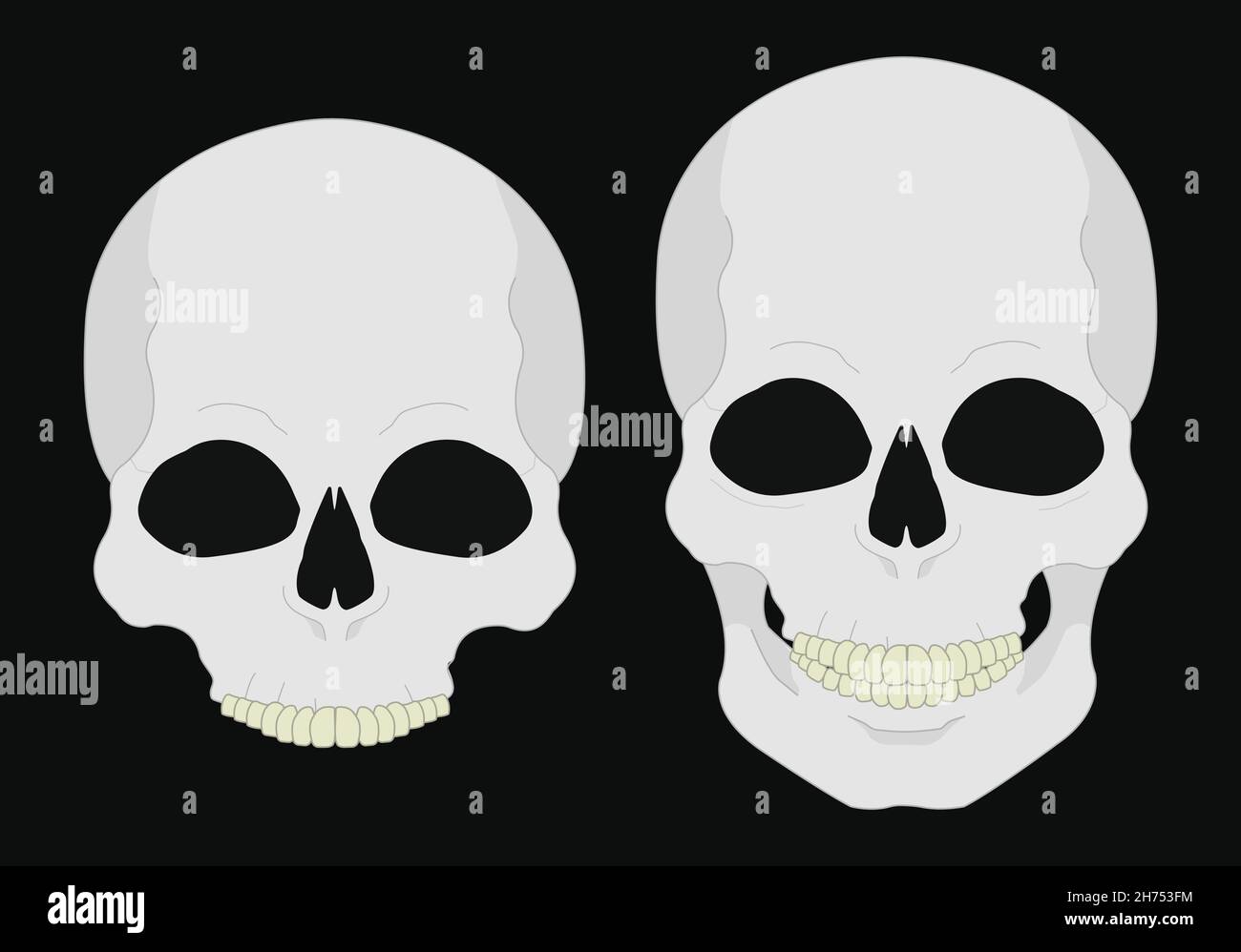 Human skull isolated on black Stock Vector Image & Art - Alamy