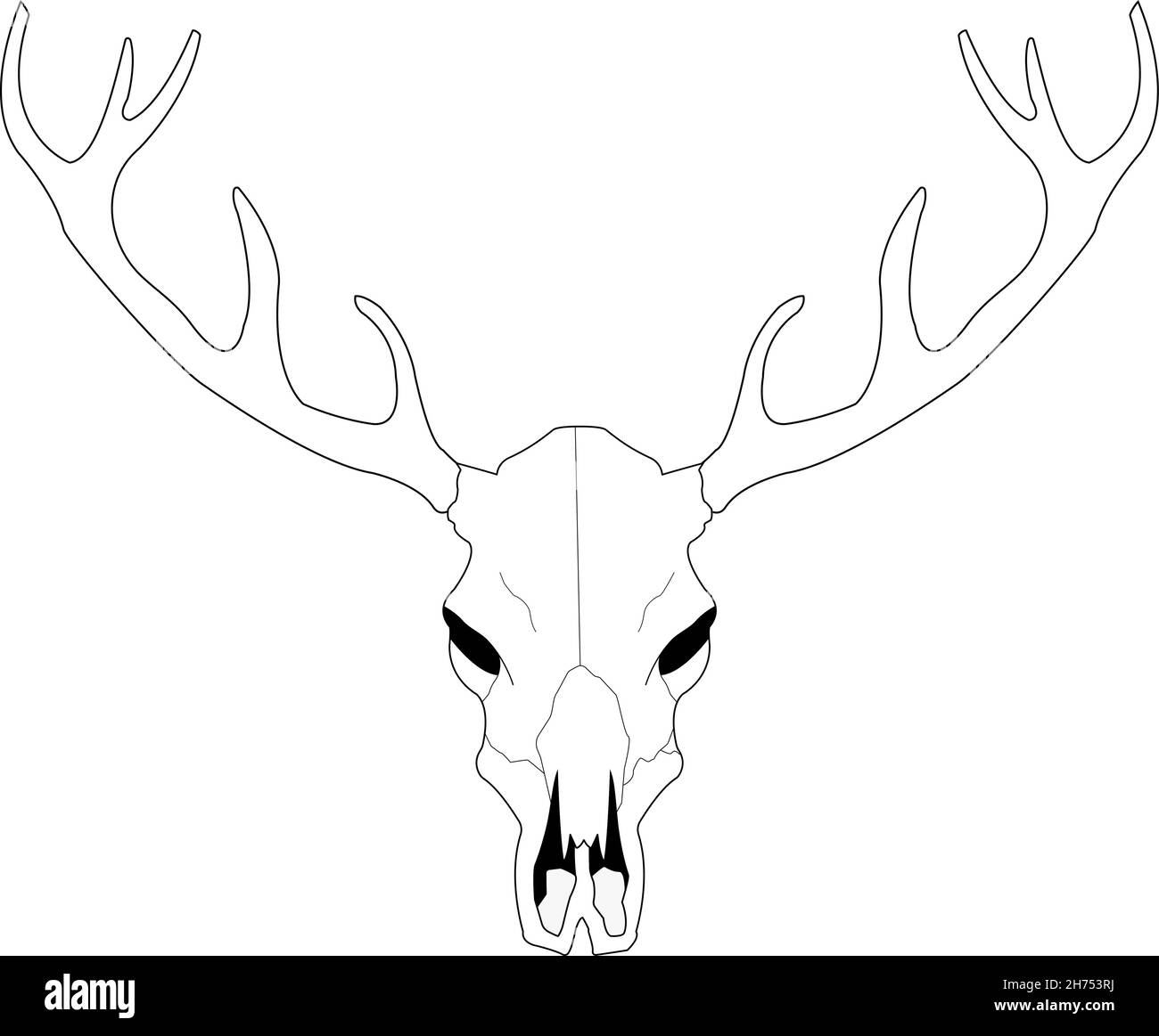 Deer skull line art vector illustration Stock Vector Image &amp; Art ...
