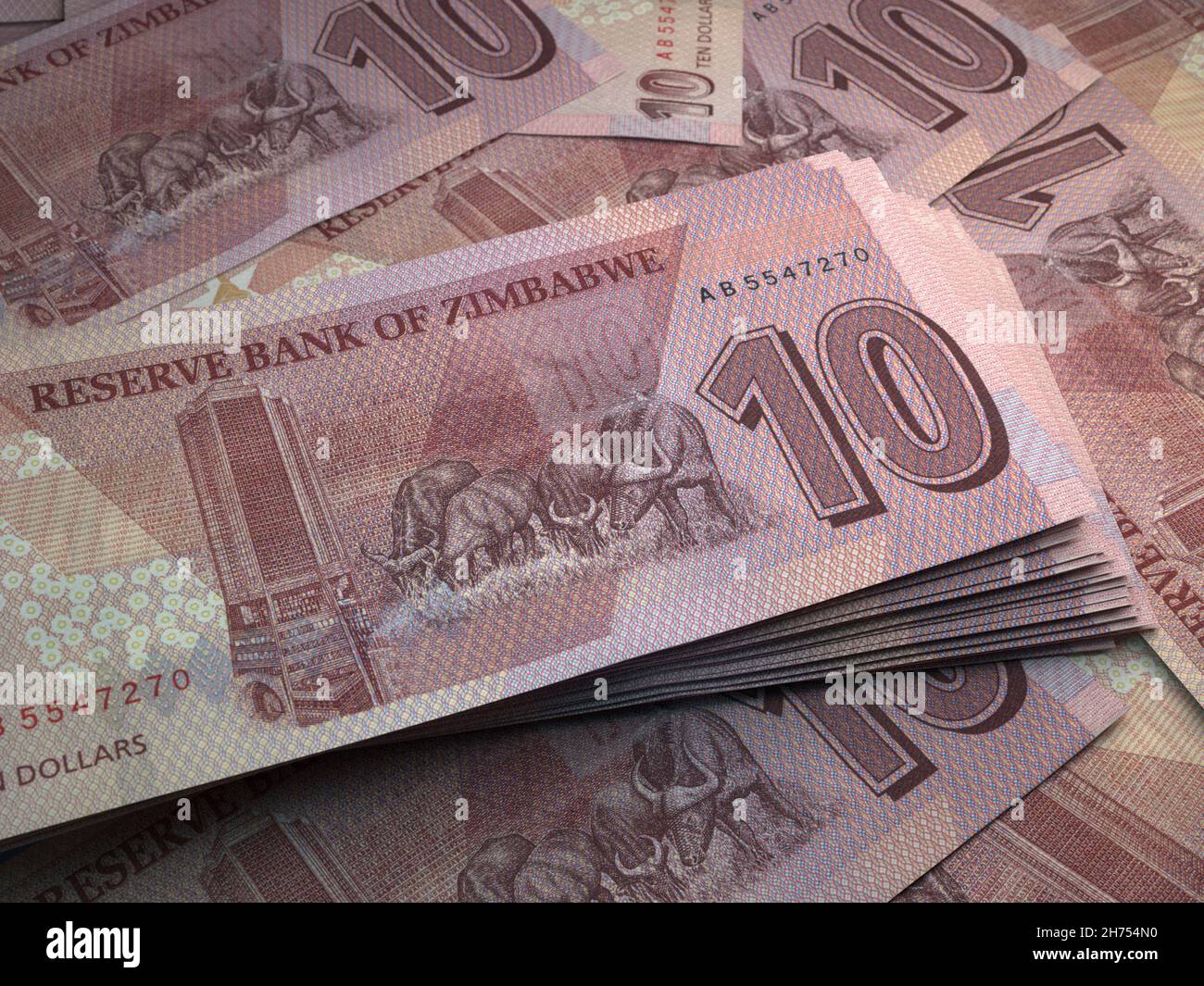 Money of Zimbabwe. Zimbabwean dollar bills. ZWL banknotes. 10 dollars