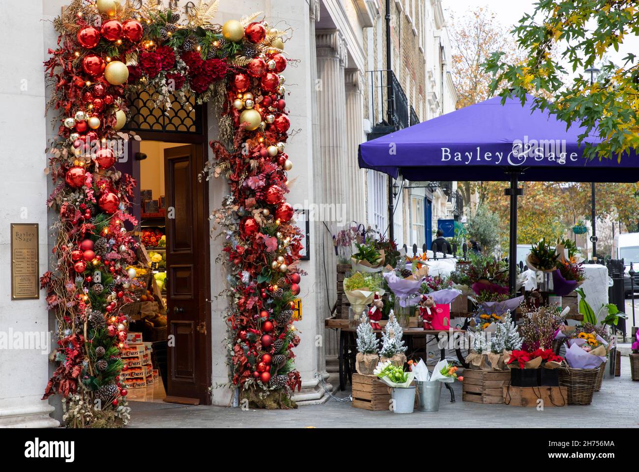 Christmas flower clearance shop