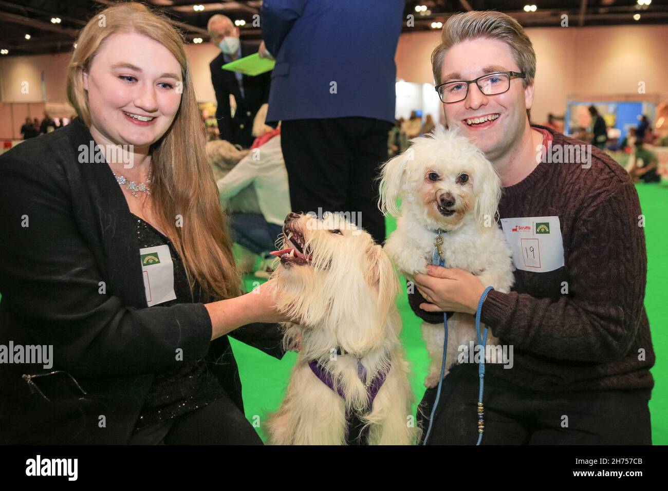 Excel Exhibition Centre, London, UK. 20th Nov, 2021. Mopsie (dog on left) and Sammie (dog on right) are two rescue cross breed dogs at the show with their lovely owners, and competing in Crufts 'most handsome dogs' competition. London's biggest dog event, Discover Dogs, returns to ExCeL London, giving visitors the opportunity to meet, greet and cuddle hundreds of dogs, and to celebrate the ways in which man's best friend helped thousands and have been our everyday heroes during the pandemic. The show is organised by The Kennel Club. Credit: Imageplotter/Alamy Live News Stock Photo