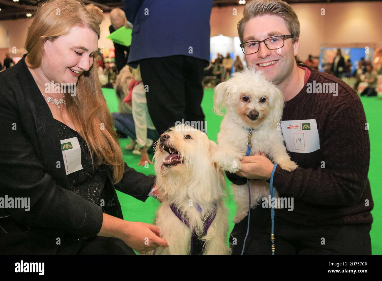 Excel Exhibition Centre, London, UK. 20th Nov, 2021. Mopsie (dog on left) and Sammie (dog on right) are two rescue cross breed dogs at the show with their lovely owners, and competing in Crufts 'most handsome dogs' competition. London's biggest dog event, Discover Dogs, returns to ExCeL London, giving visitors the opportunity to meet, greet and cuddle hundreds of dogs, and to celebrate the ways in which man's best friend helped thousands and have been our everyday heroes during the pandemic. The show is organised by The Kennel Club. Credit: Imageplotter/Alamy Live News Stock Photo