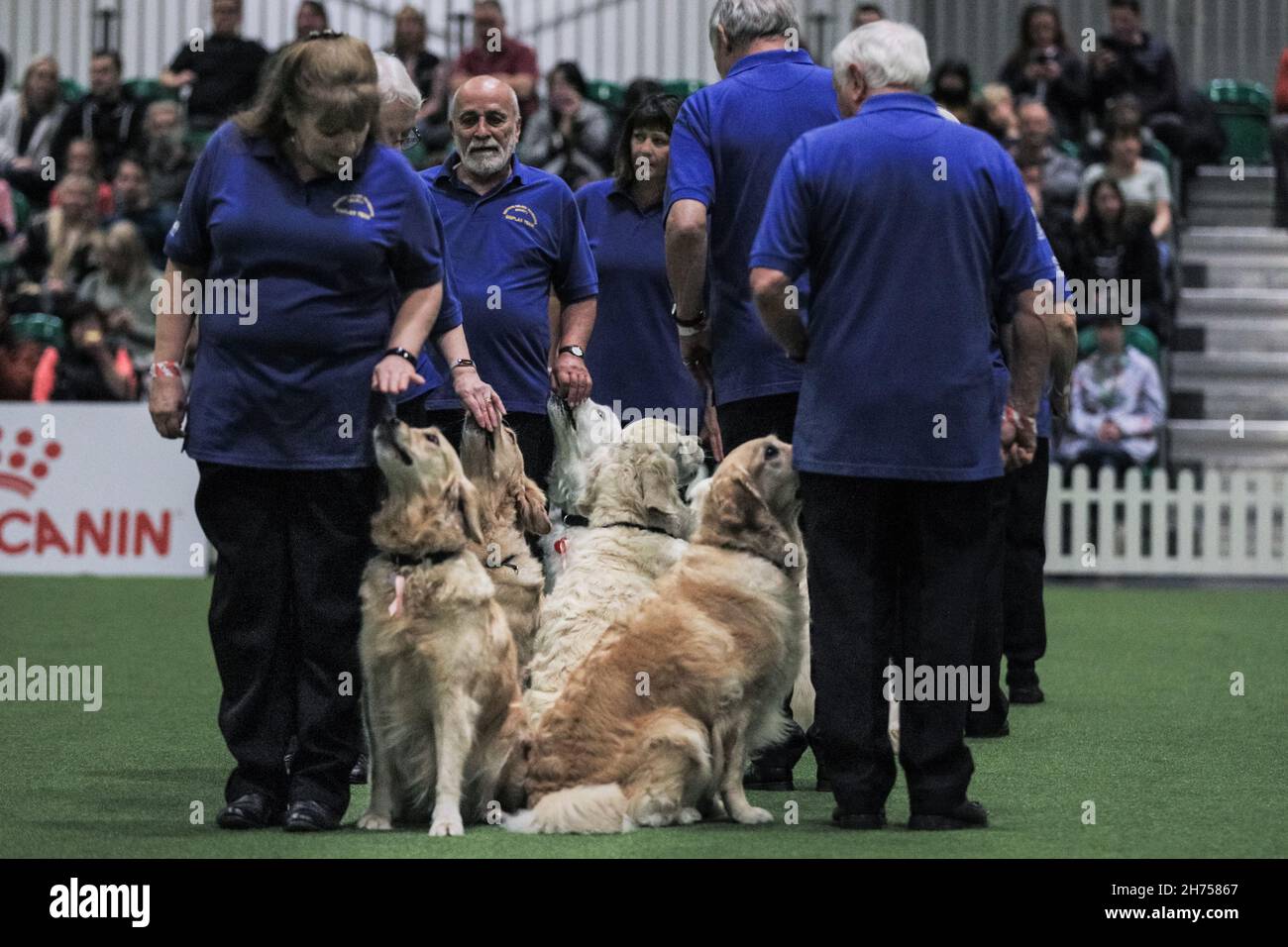 Excel Exhibition Centre, London, UK. 20th Nov, 2021. The Golden