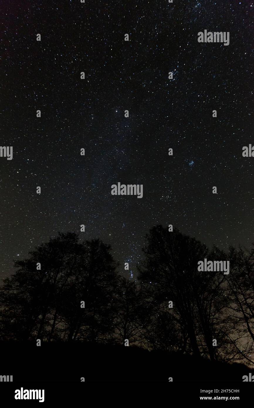 Night sky in winter, showing stars of part of the Milky Way, above a foreground of trees, Lower Saxony, Germany Stock Photo