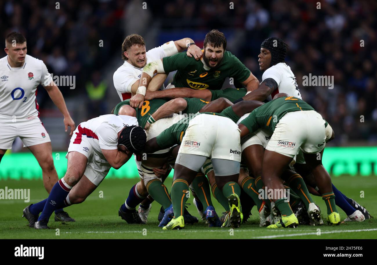 England south africa rugby hi-res stock photography and images