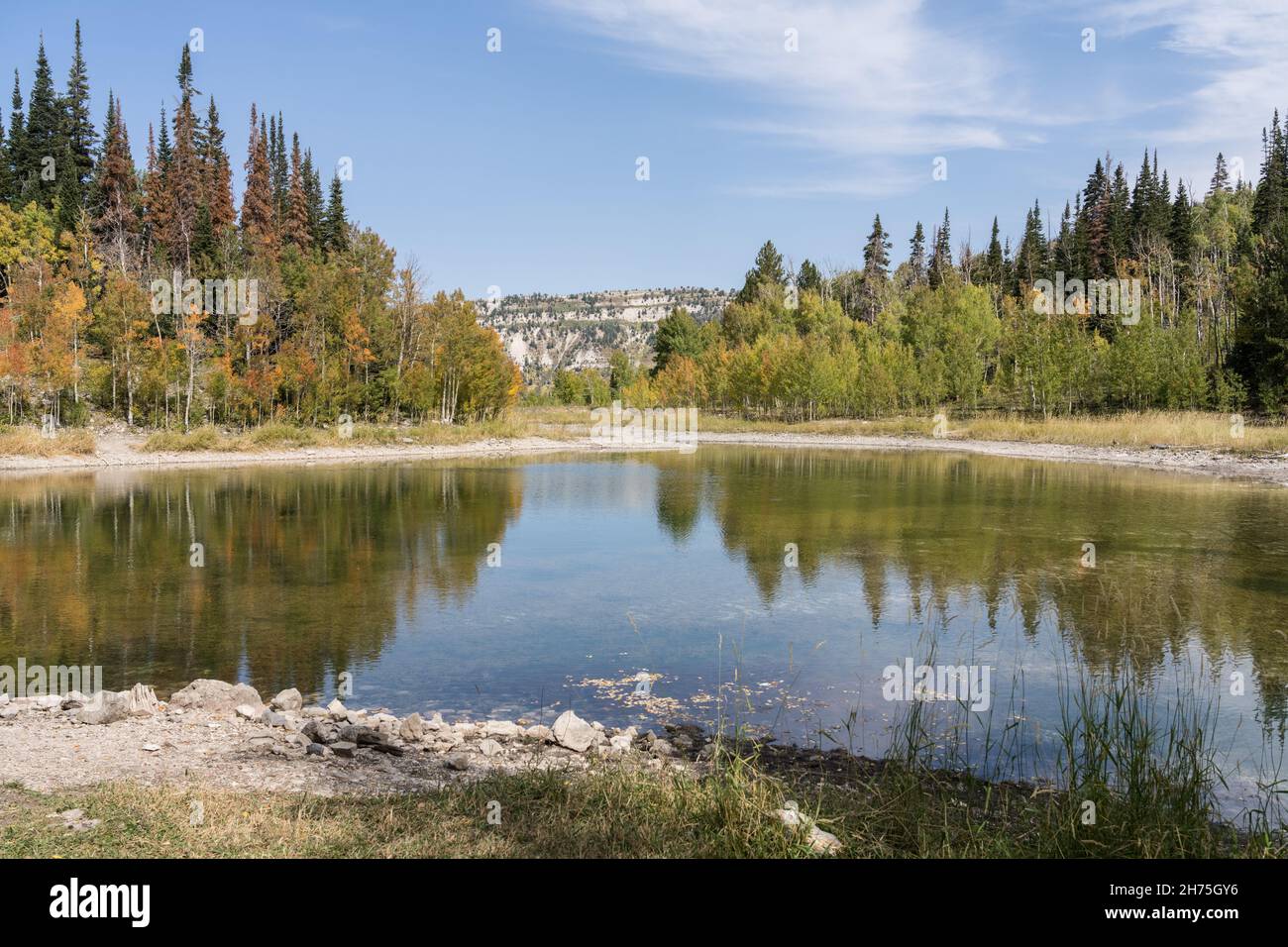 Six mile pond hires stock photography and images Alamy