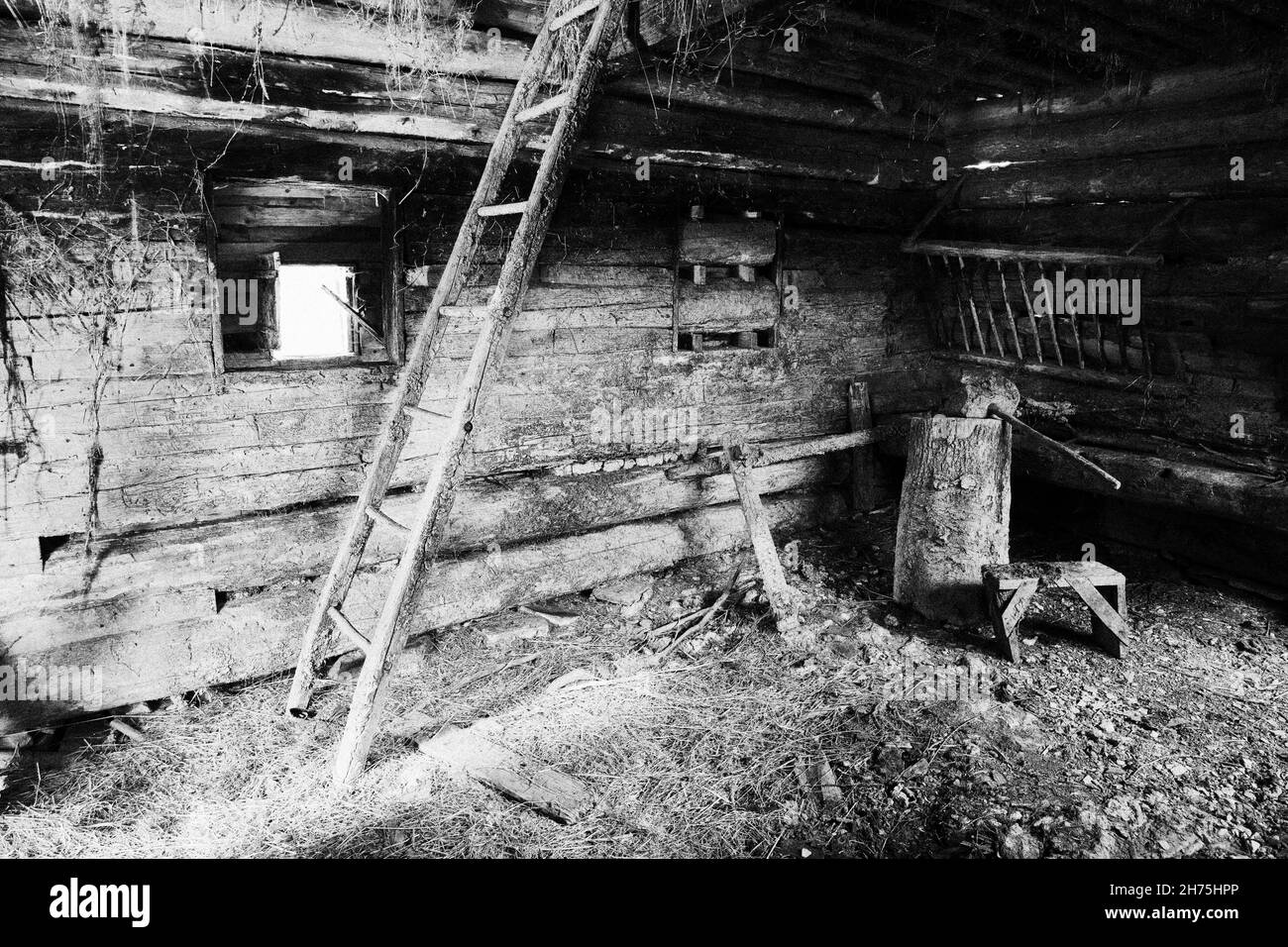 old dirty barn inside, wooden ladder, animal feeding trough, window and trampled floor, dried hay Stock Photo