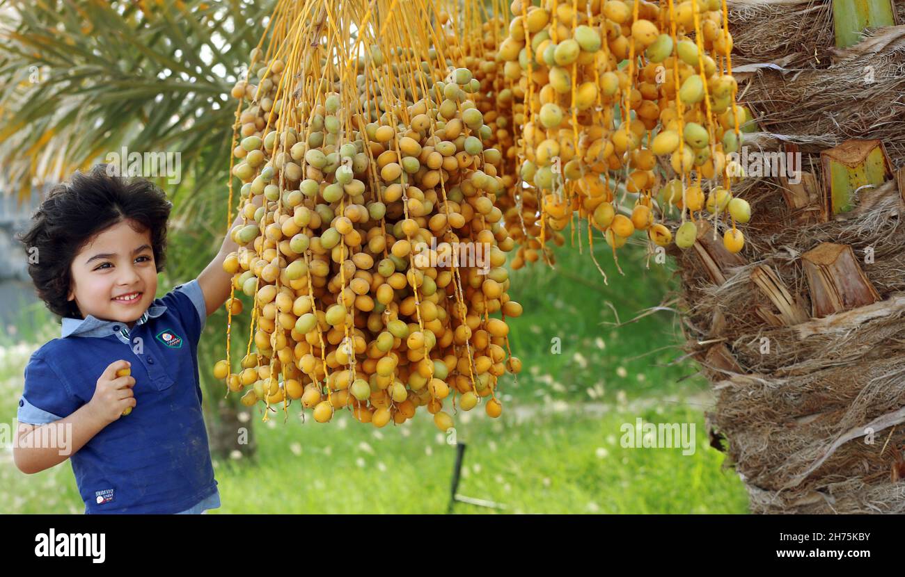 Arabian traditional food hires stock photography and images Alamy