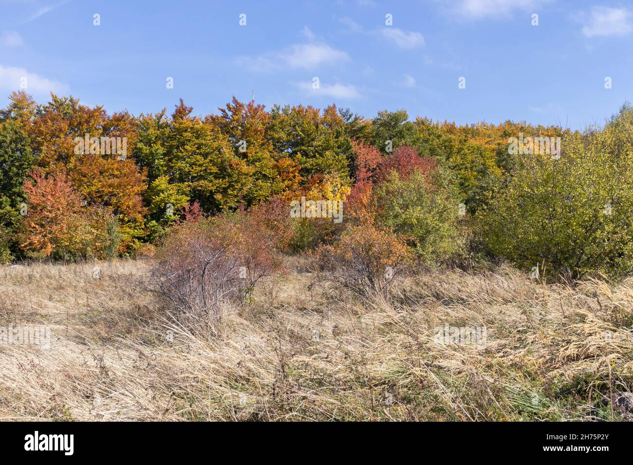 Amazing autumn view vitosha hi-res stock photography and images - Alamy