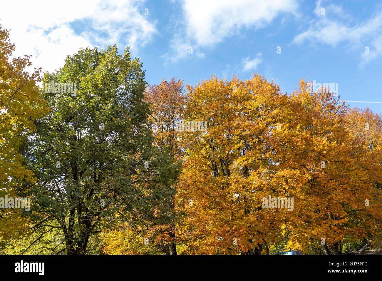 Amazing autumn view vitosha hi-res stock photography and images - Alamy