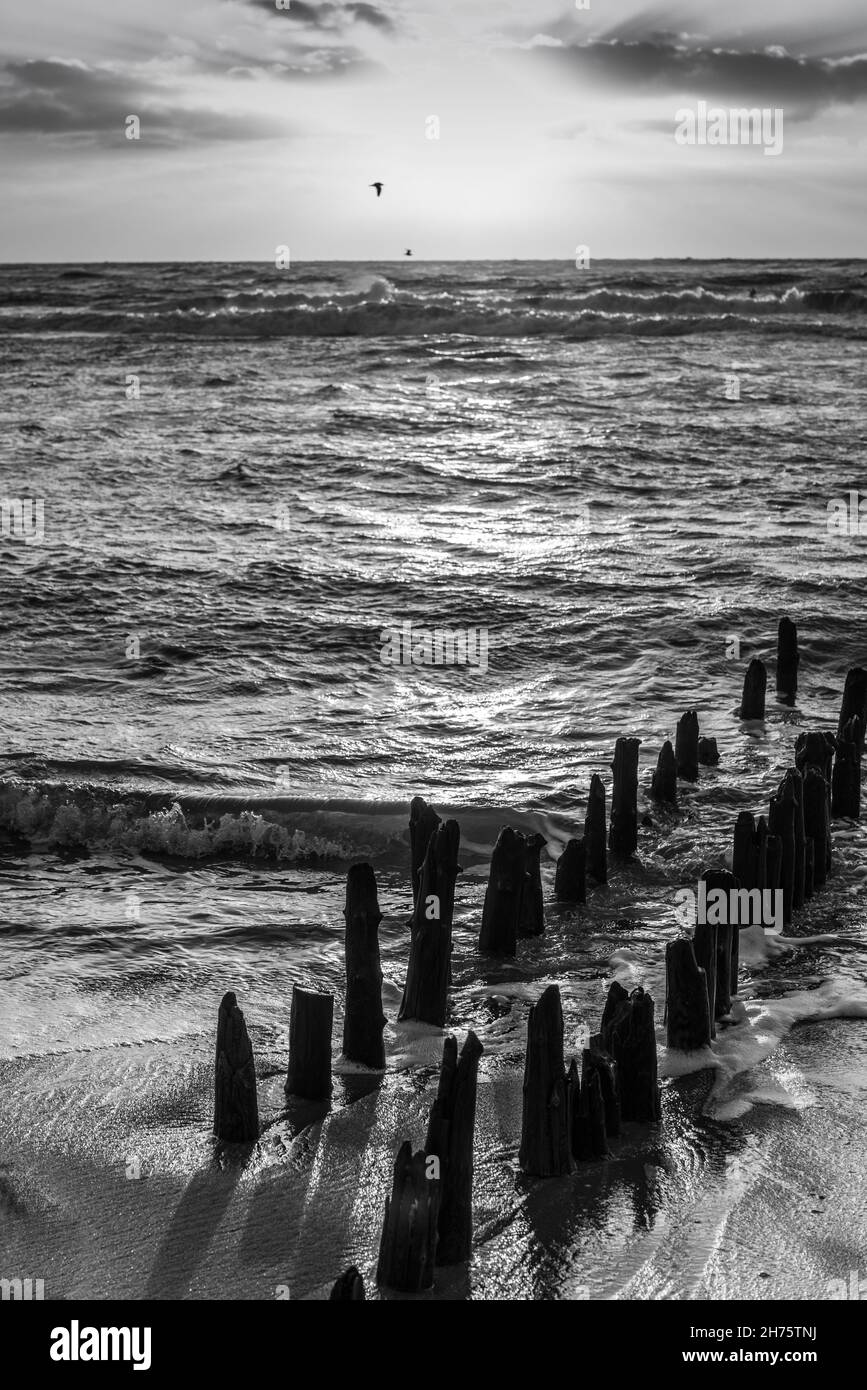 Nordsee Wellen Erholung Stock Photo