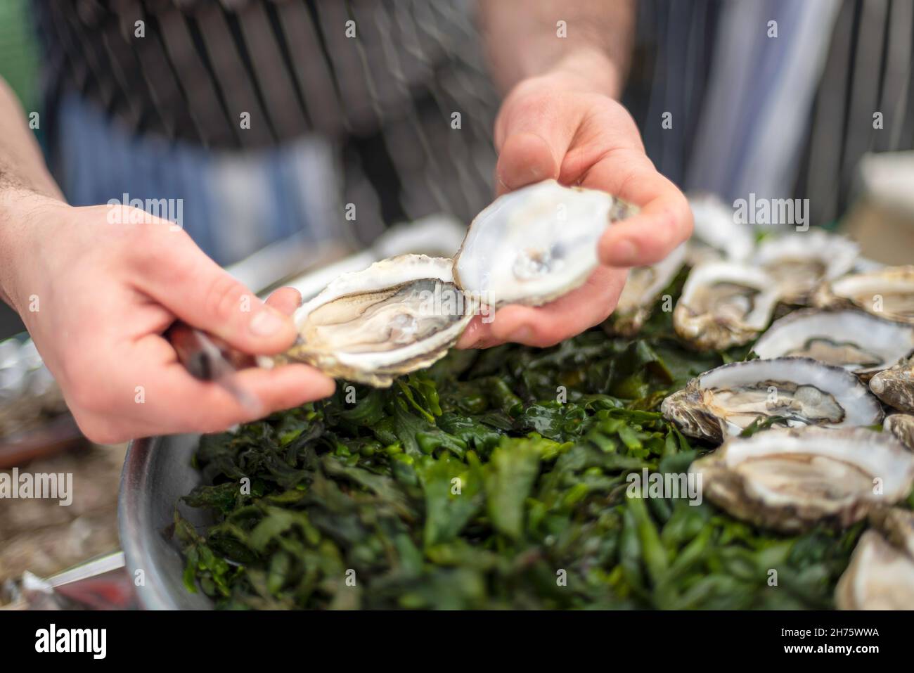 Shucking oysters at Soho Food Festival Stock Photo