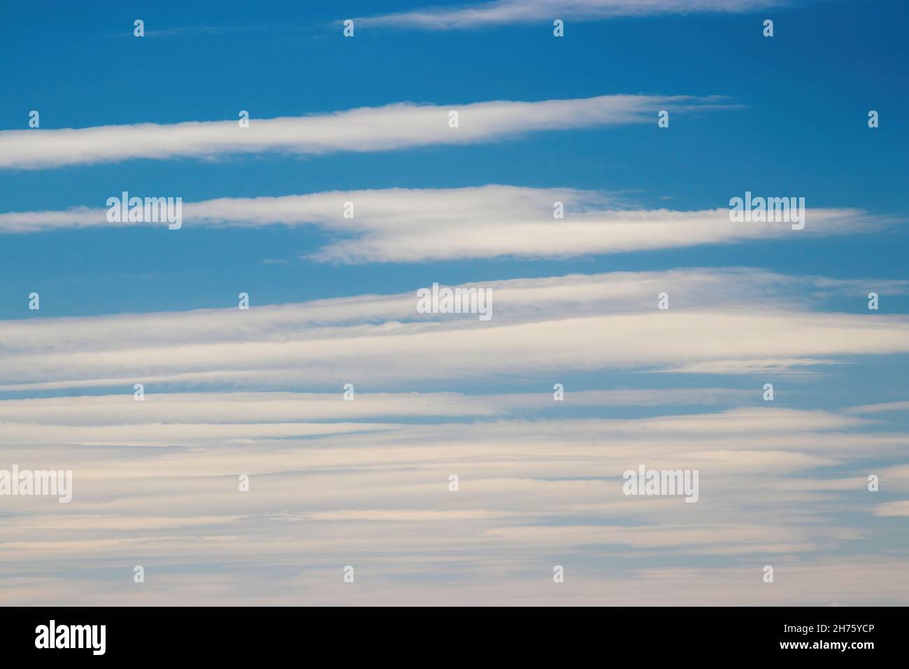 Background photo: blue sky and white clouds in the form of stripes. Blurred. High quality photo Stock Photo