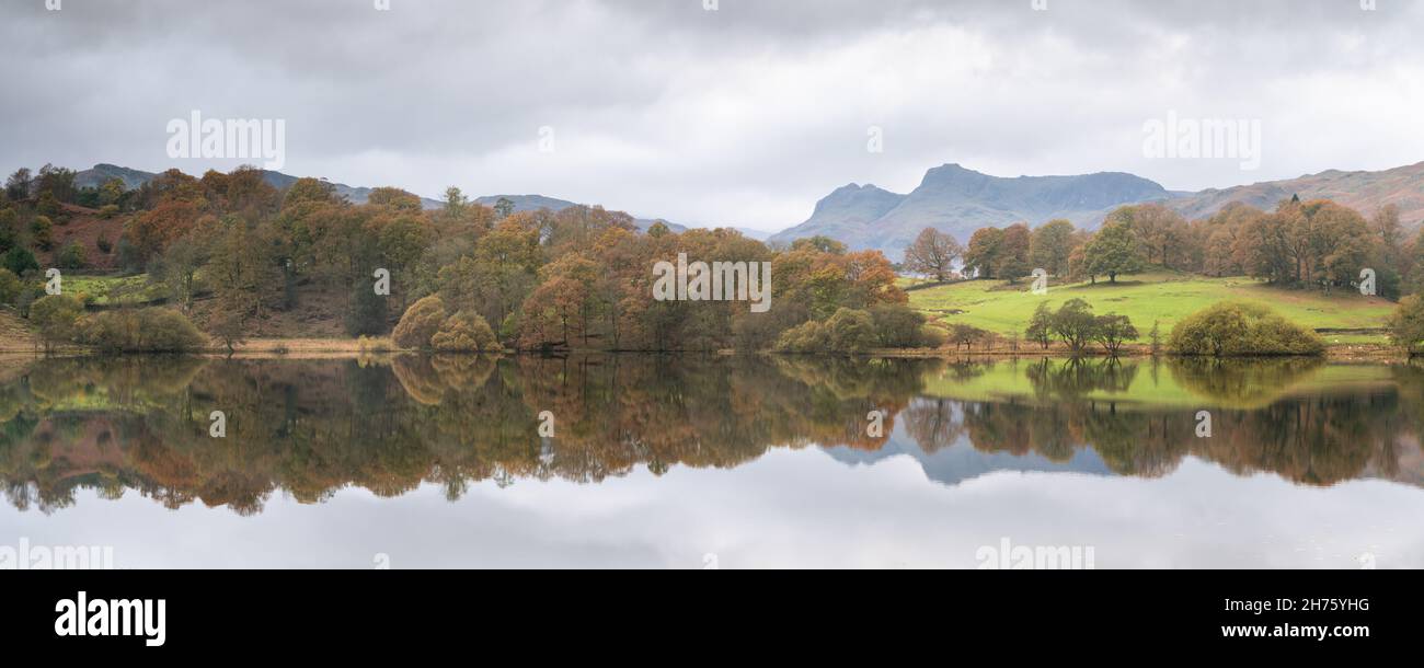 The Langdale Pikes are reflected in the still waters of Loughrigg Tarn on an autumn afternoon of grey cloud and soft light in the Lake District. Stock Photo