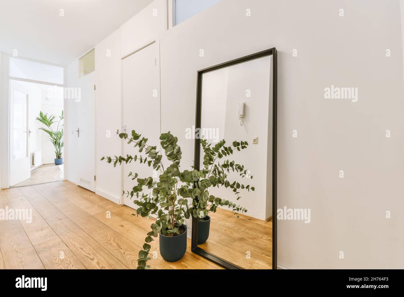 Lovely room with a floor-length mirror and plant Stock Photo