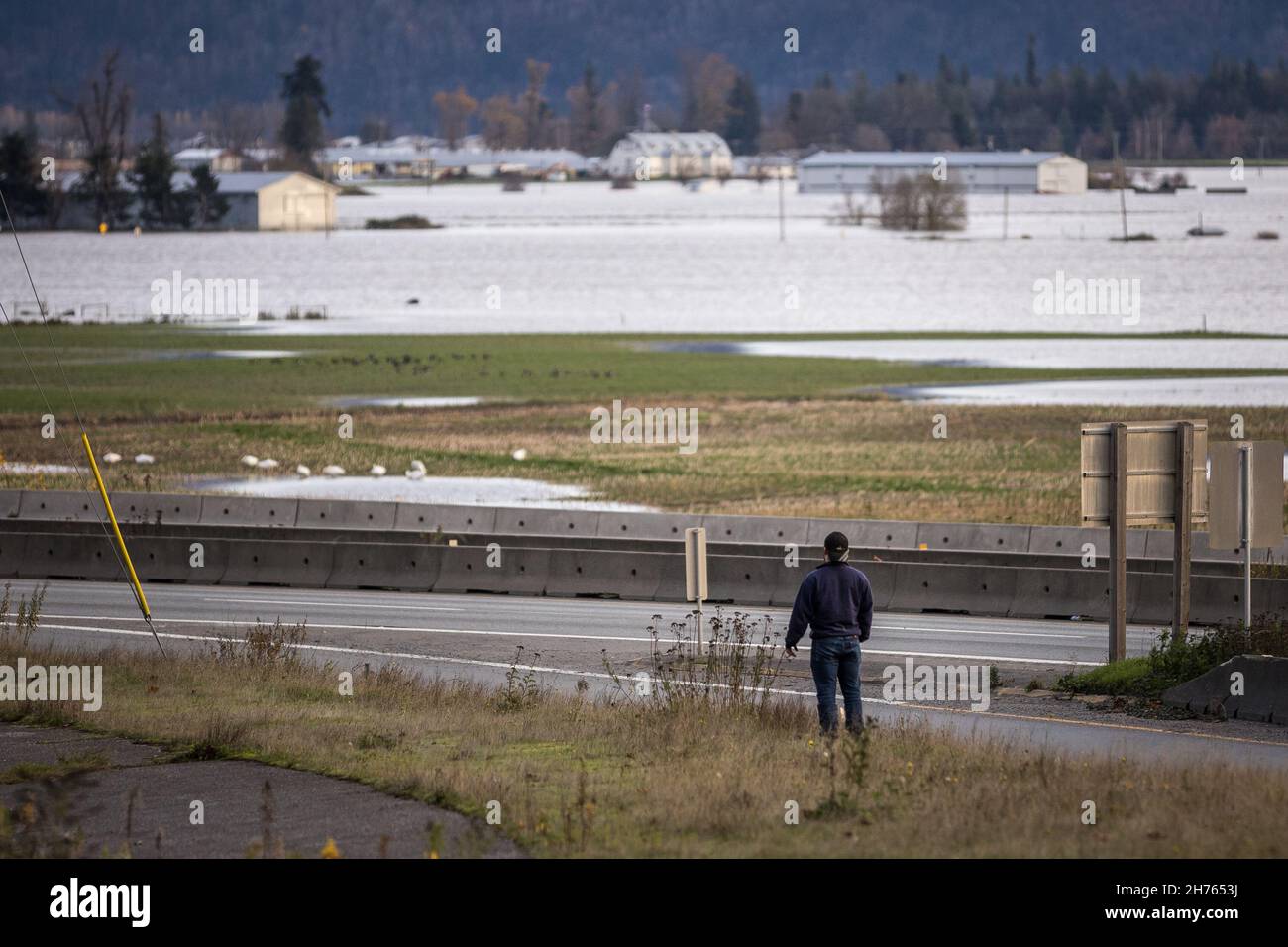 Fraser Valley farmers fields flooded from torrential rains, climate change effect, natural disaster, intense flooding, British Columbia. Stock Photo