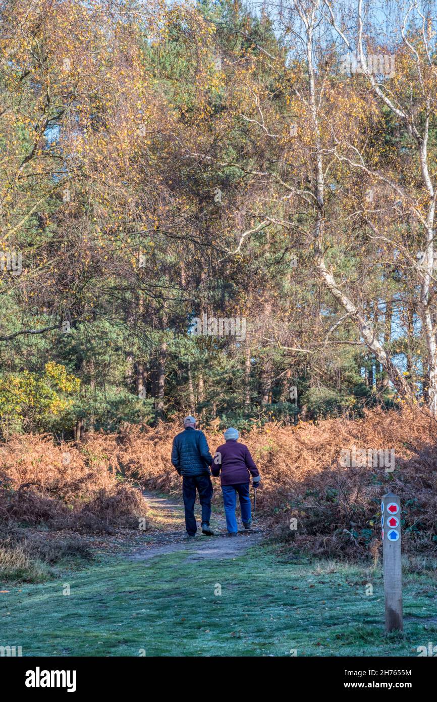 Active senior couple setting off on a country walk through woods at Dersingham Bog National Nature Reserve on a bright autumn day. Stock Photo