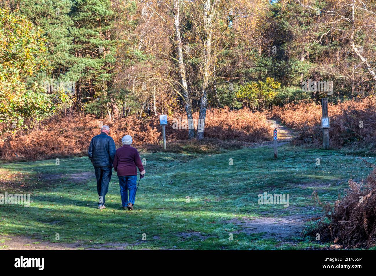 Active senior couple setting off on a country walk through woods at Dersingham Bog National Nature Reserve on a bright autumn day. Stock Photo
