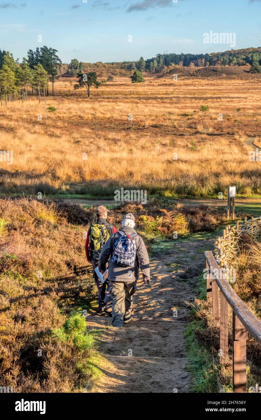 Two active senior men setting off on a country walk at Dersingham Bog National Nature Reserve on a bright autumn day with blue skies. Stock Photo