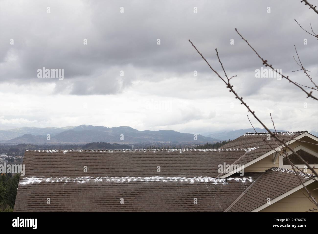 Zinc sulfate powder which is used to deter roof moss, sprinkled on the roof of a house in Oregon