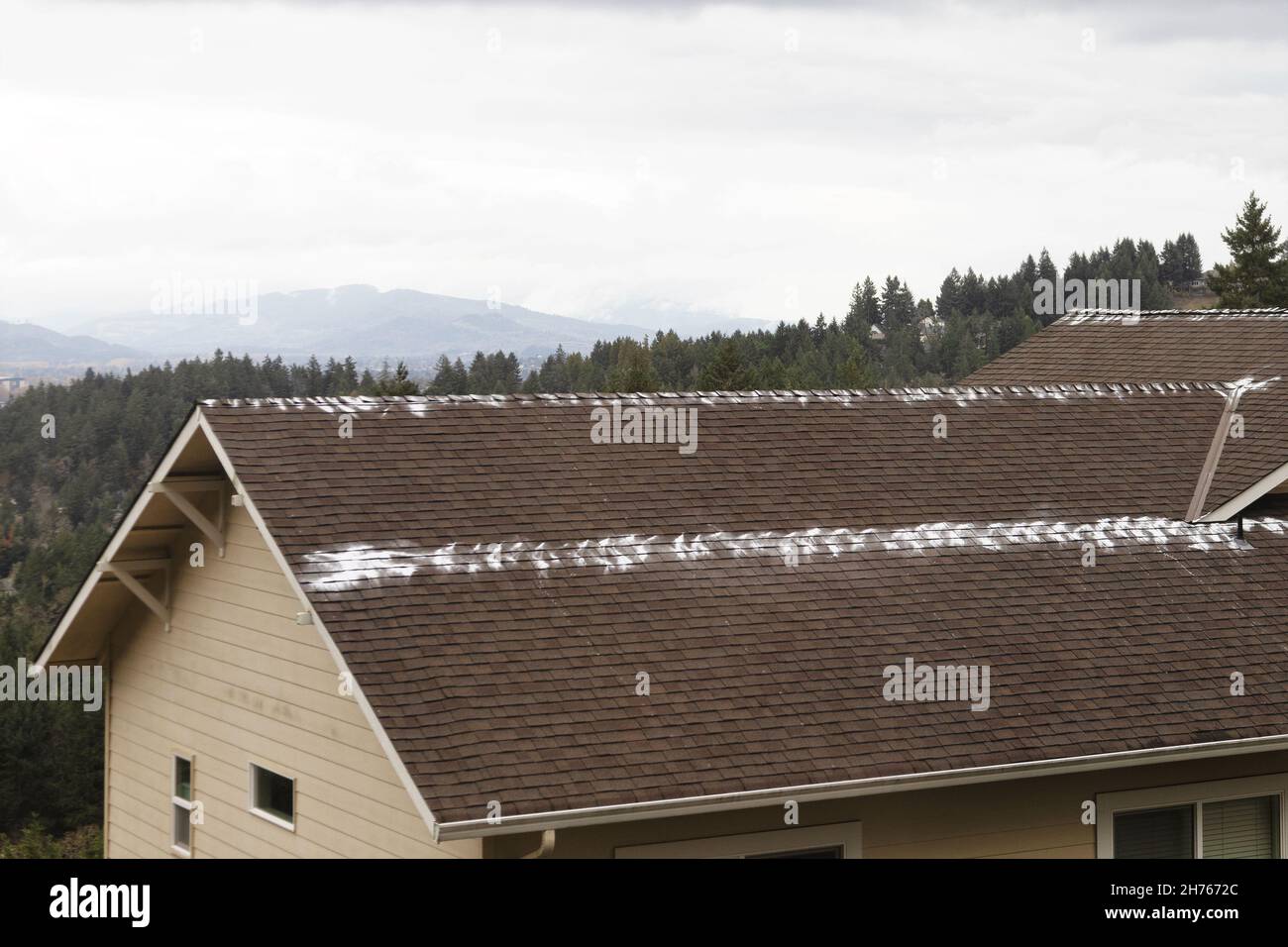 Zinc sulfate powder which is used to deter roof moss, sprinkled on the roof  of a house in Oregon Stock Photo - Alamy