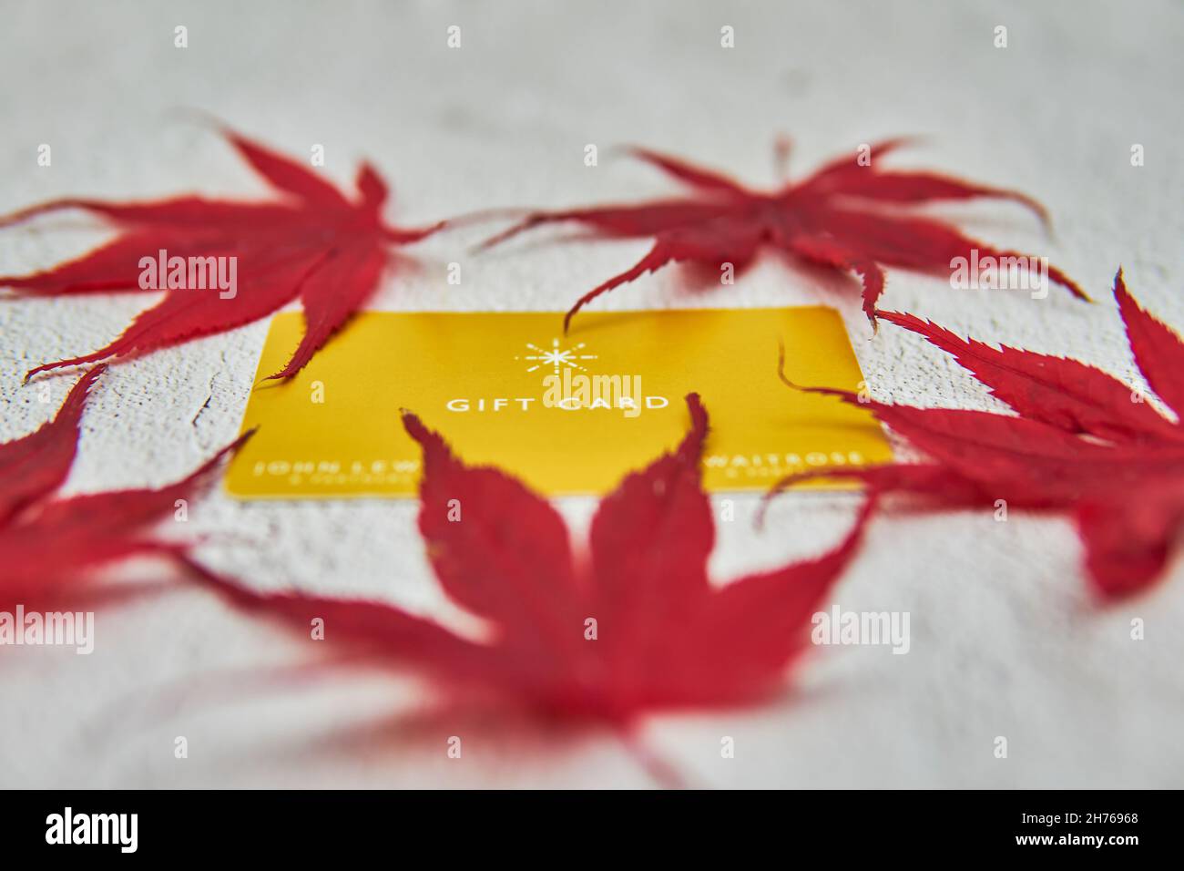 John Lewis and Waitrose yellow gift card with red maple leaves on a