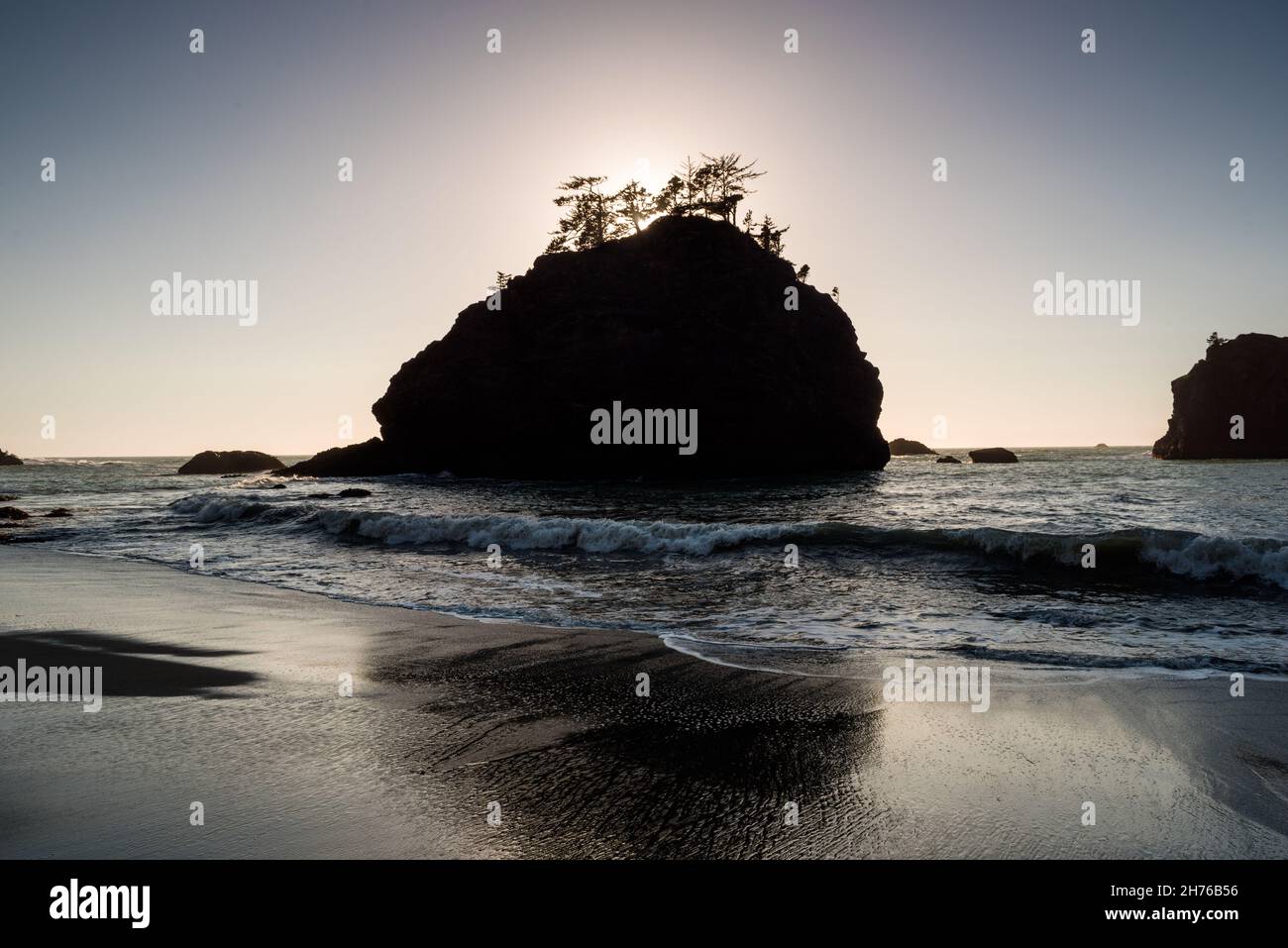 Pine trees silhouette hi-res stock photography and images - Alamy