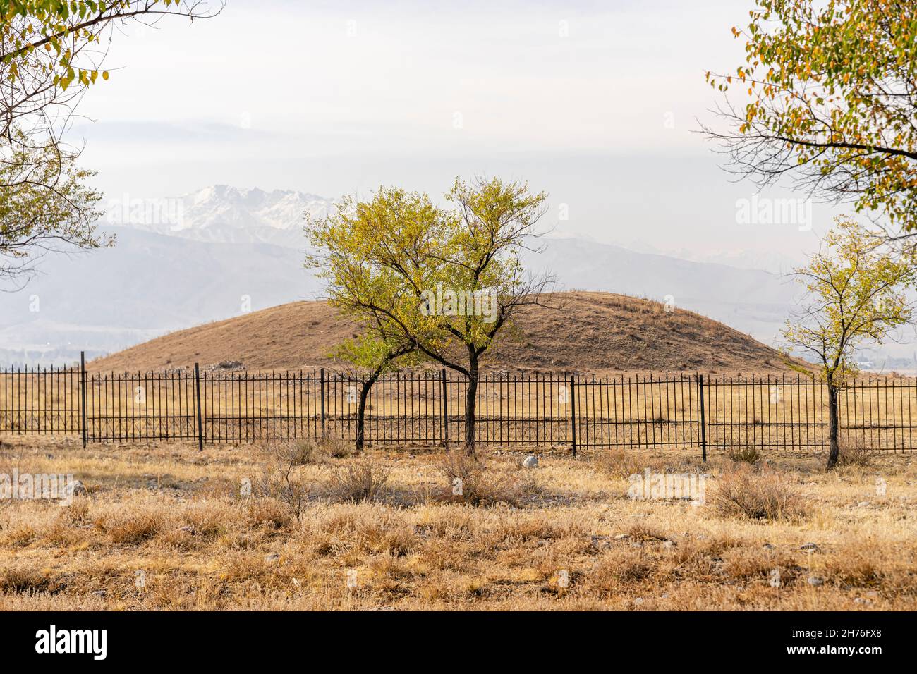 A super sexy xola uning yosh jiyani erotik keldi