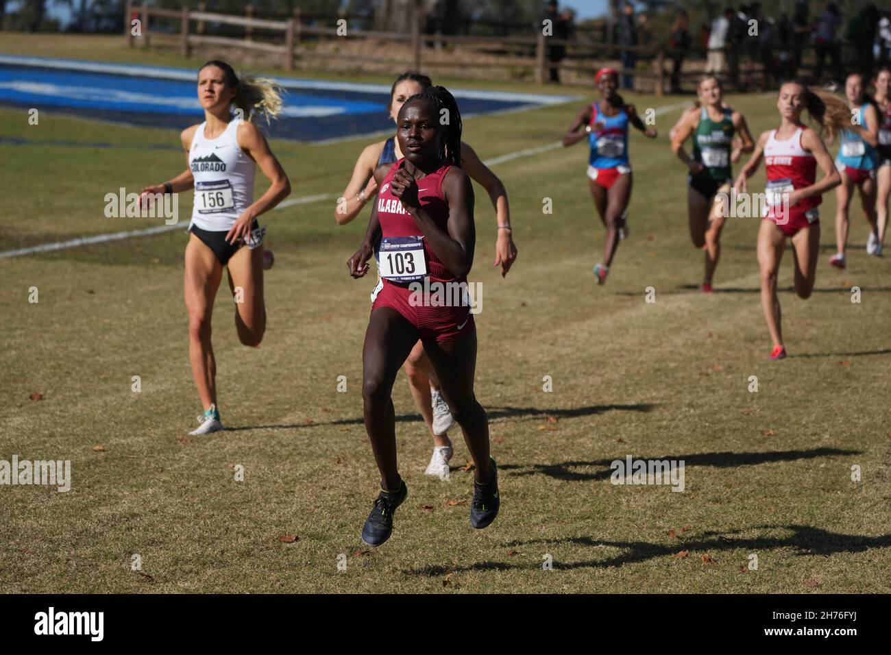 Flomena Asekol of Alabama places 29th in 19:51.0 in the women's race during the NCAA cross country championships at Apalachee Regional Park, Saturday, Stock Photo
