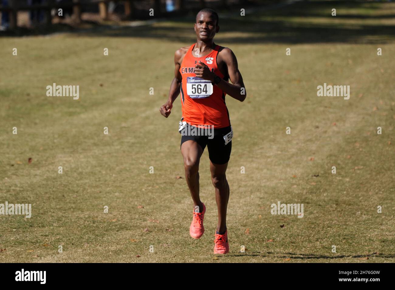 Athanas Kioko of Campbell places third in the men's race in 28:49.9 during the NCAA cross country championships at Apalachee Regional Park, Saturday, Stock Photo