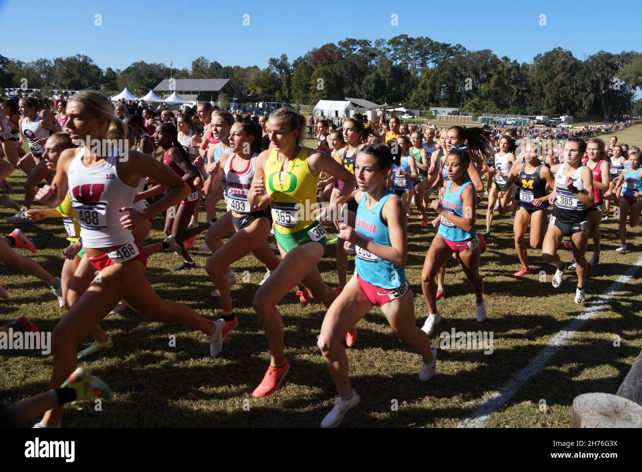 Women's runners during the NCAA cross country championships at Apalachee Regional Park, Saturday, Nov. 20, 2021, in Tallahassee, Fla. Stock Photo