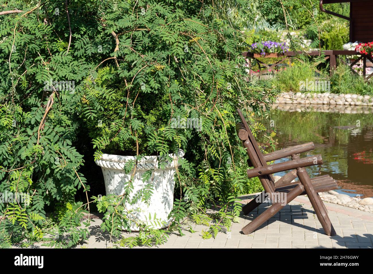 A place to relax with a wooden chair under a beautiful rowan bush by an artificial reservoir on a sunny summer day. Stock Photo