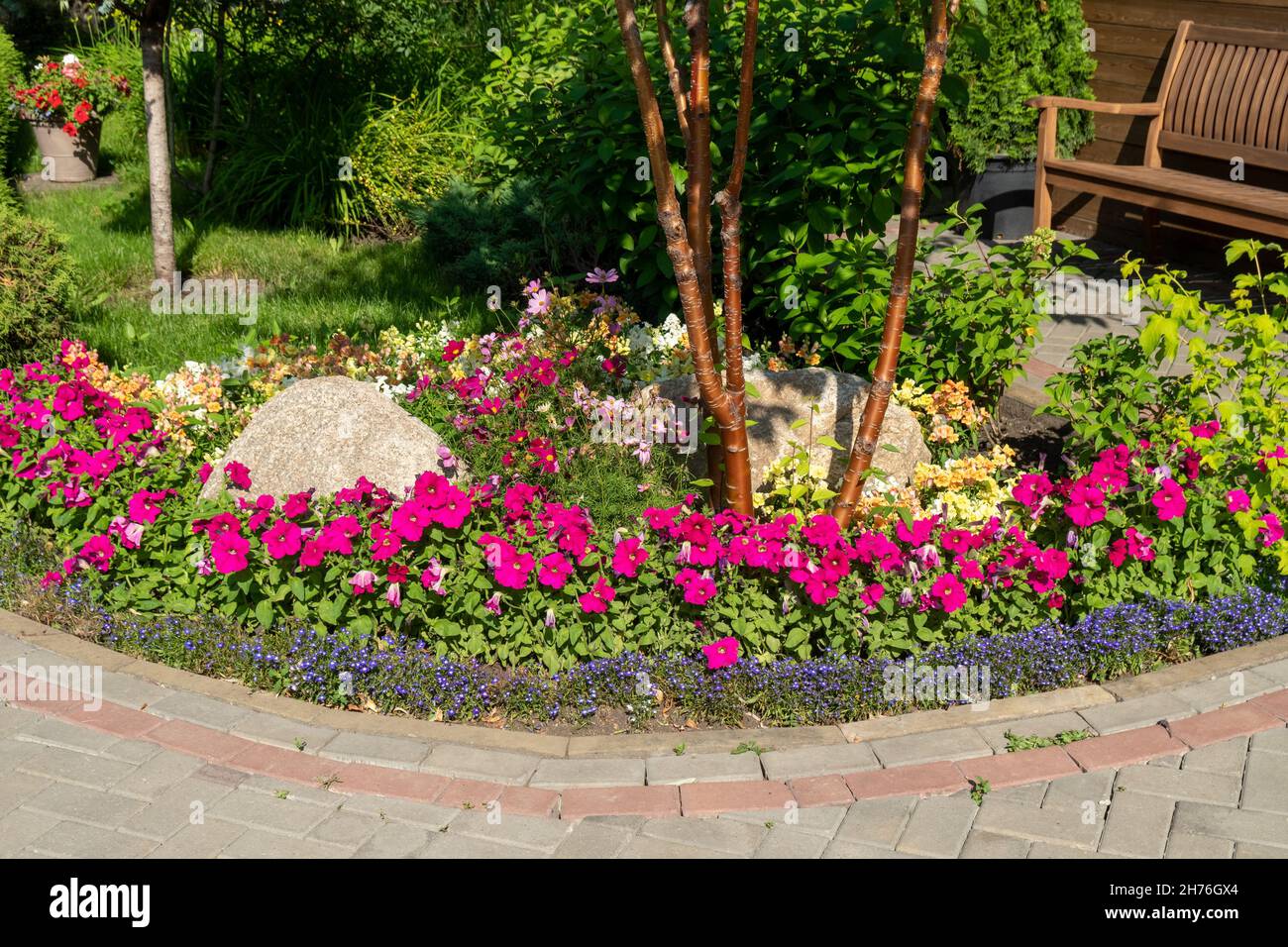 Floral border with a tree in the middle next to a wooden bench in the park on a sunny summer day. Stock Photo