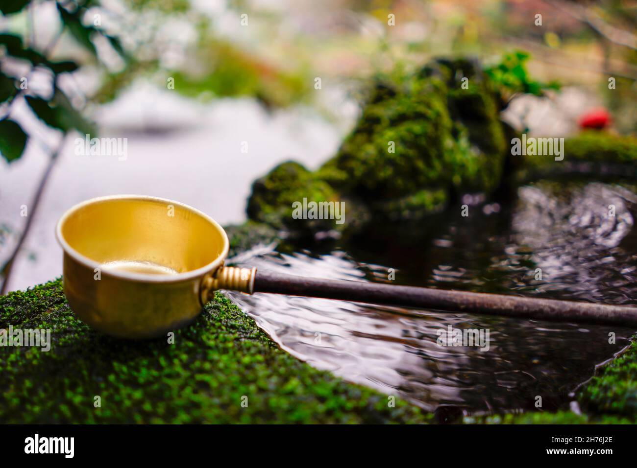 Water ladle for cleansing at the Buddhist temple at Inokashira Park during autumn. In Kichijoji, Tokyo, Japan Stock Photo