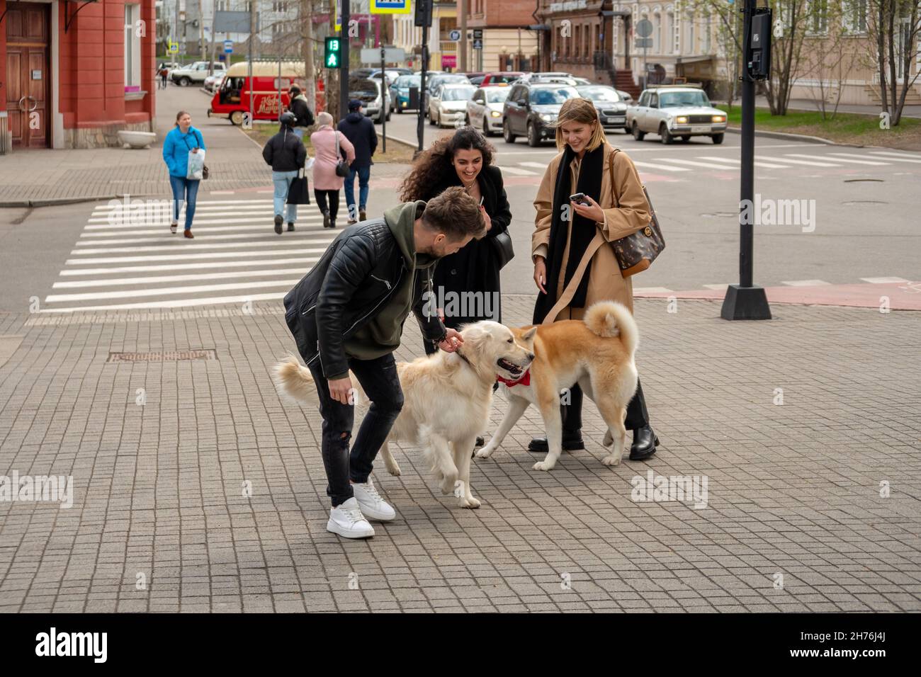 Two dogs and their young owners met at an intersection near a pedestrian crossing with people in the spring. Stock Photo