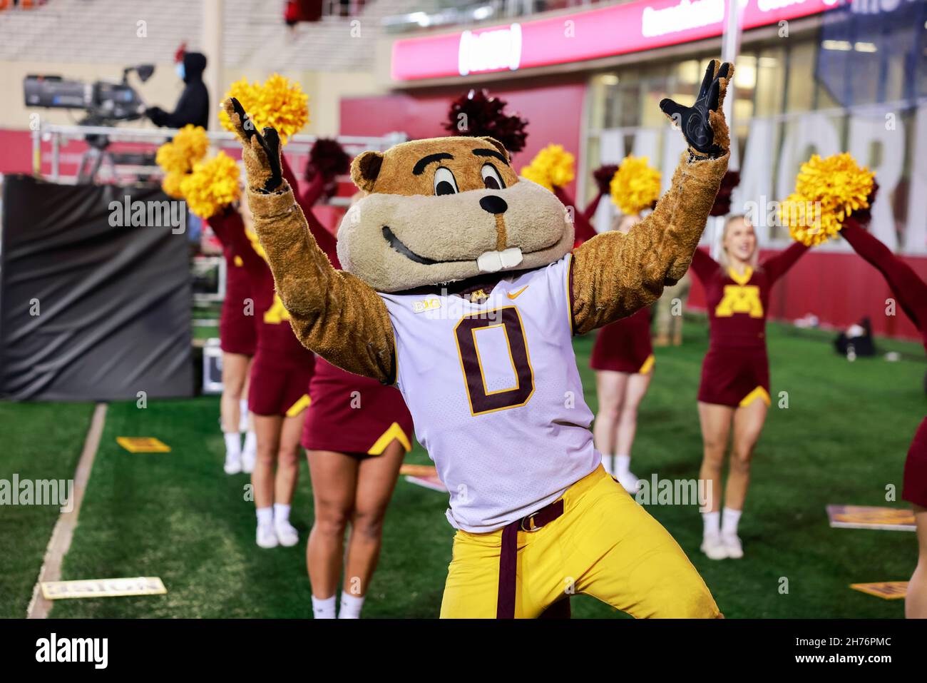 BLOOMINGTON, UNITED STATES - 2021/11/20: Minnesota’s cheerleaders and mascot, Goldy, cheer against Indiana University during an NCAA football game on November 20, 2021 at Memorial Stadium in Bloomington, Ind. IU lost to Minnesota 35-14. Stock Photo