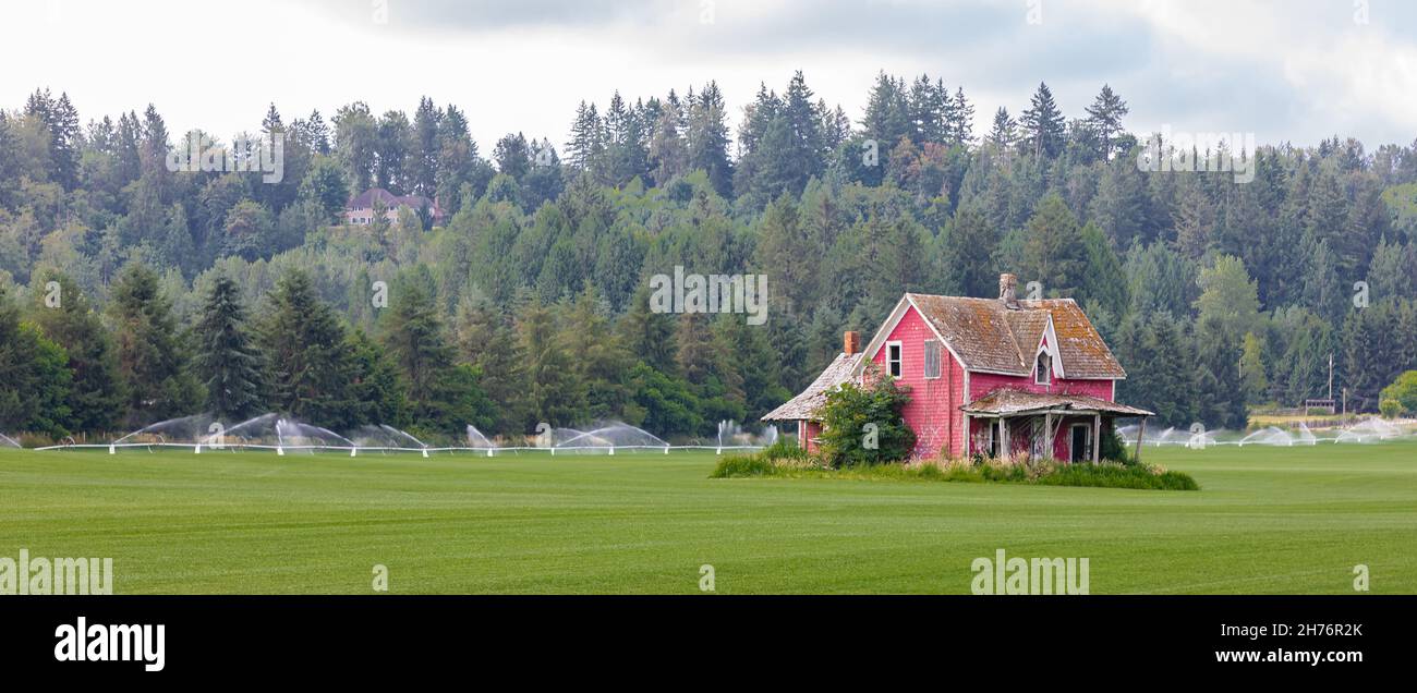 A pink old wooden house in countryside in Canada. Abandoned old house ...