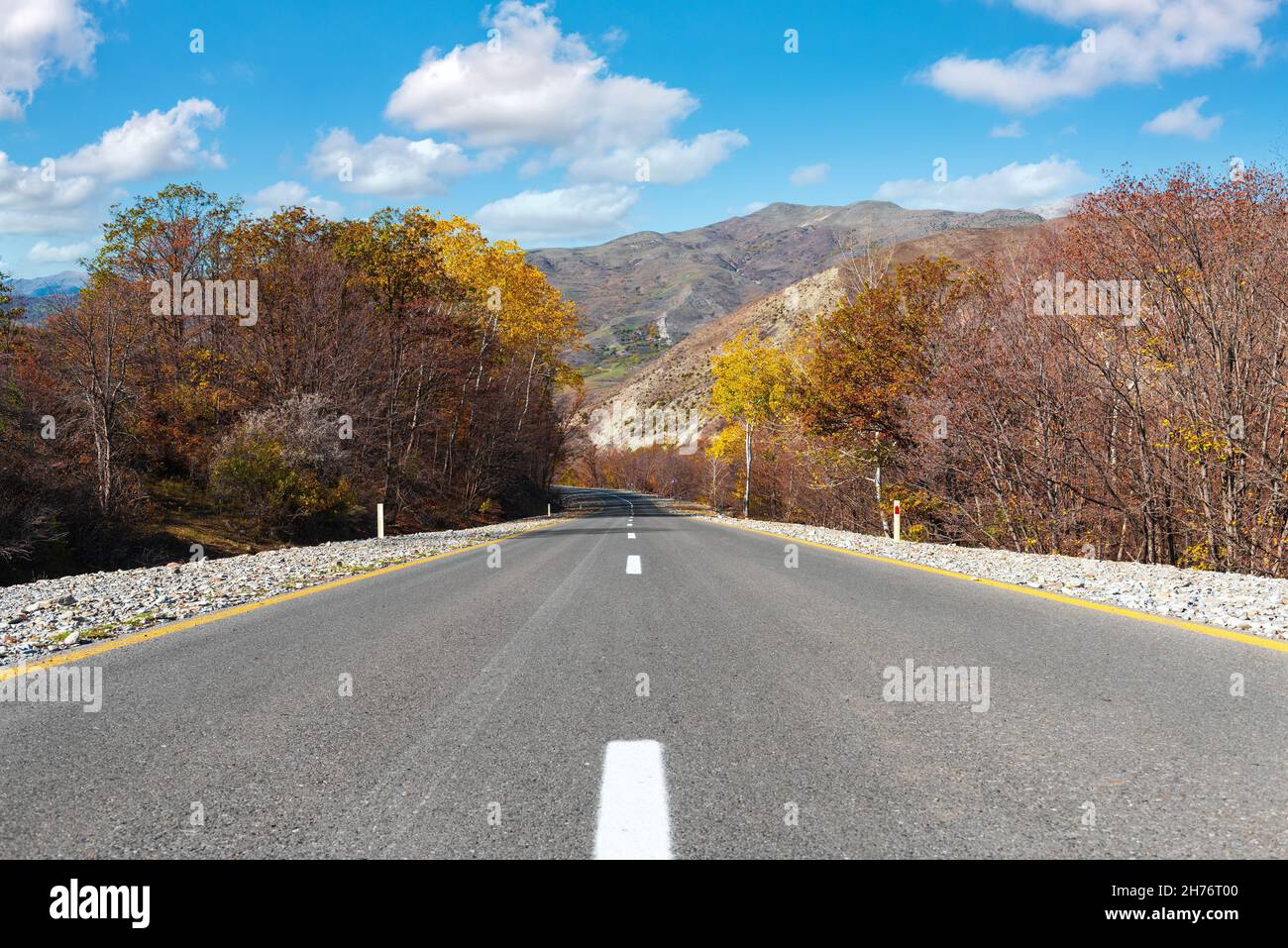 Asphalt road between autumn trees Stock Photo - Alamy