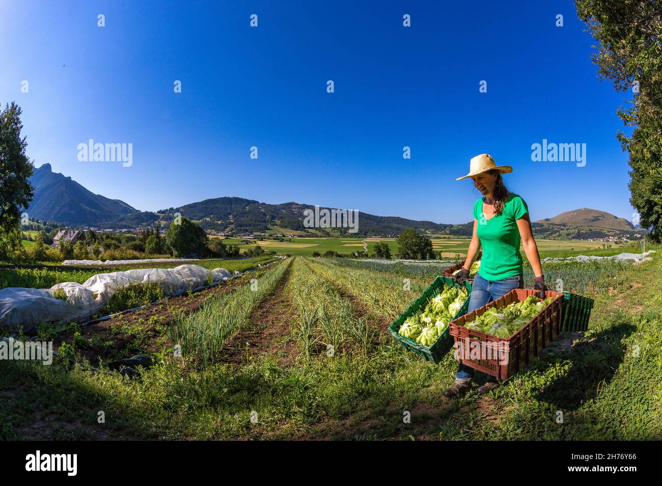 Woman trucker hi-res stock photography and images - Page 4 - Alamy