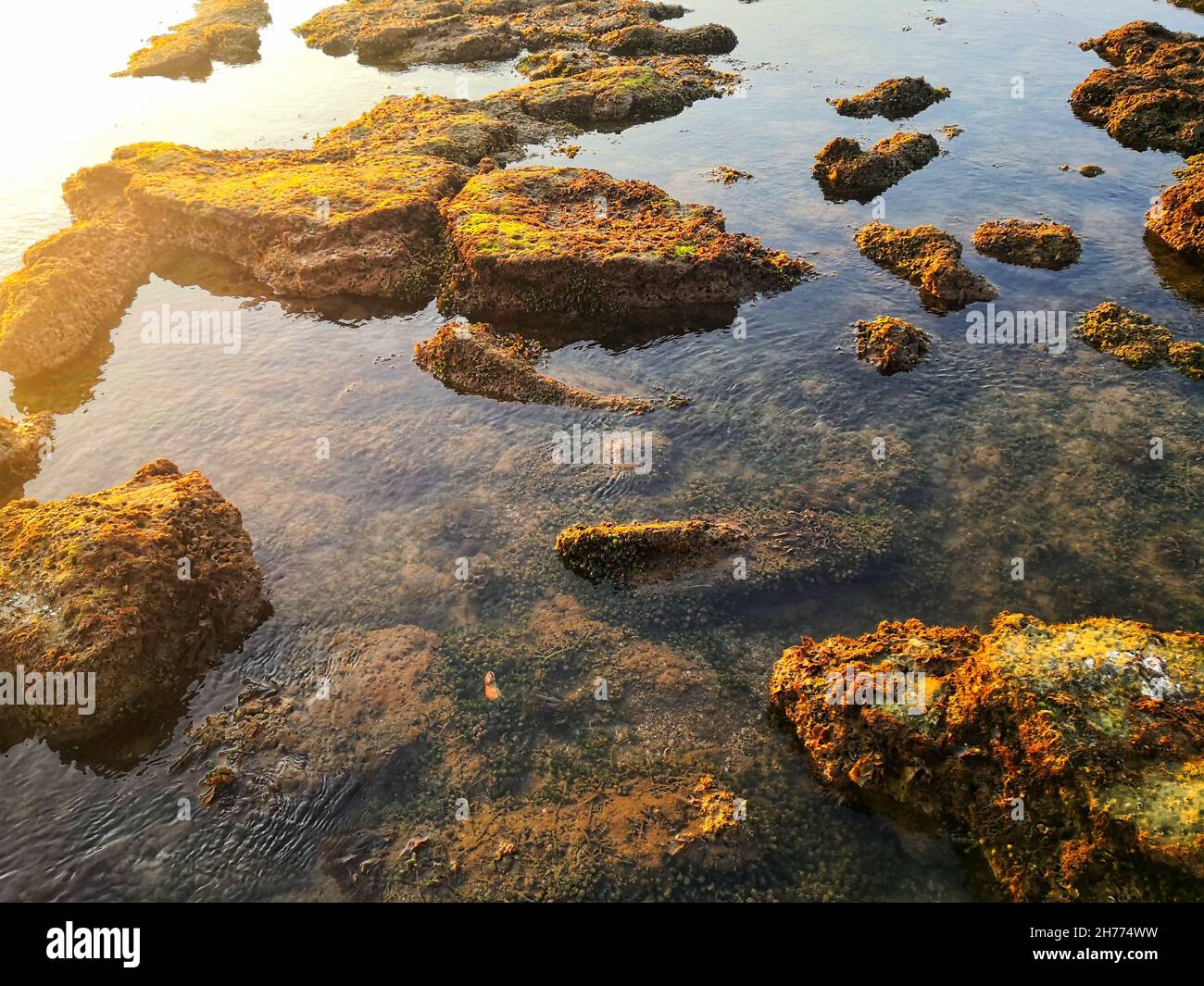 Coastal rocks texture hi-res stock photography and images - Alamy