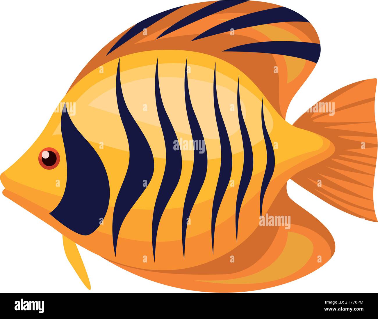 butterfly fish exotic Stock Vector Image & Art Alamy