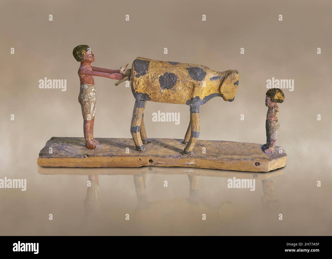 Ancient Egyptian wooden tomb model of a calving cow, 1900-1786 BC, 12th Dynasty, Asyut. Museum of Fine Arts of Lyon. Painted sucamore wood.  This anci Stock Photo