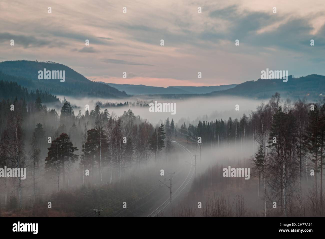 mountain landscape with railway trees  in autumn with fog Stock Photo