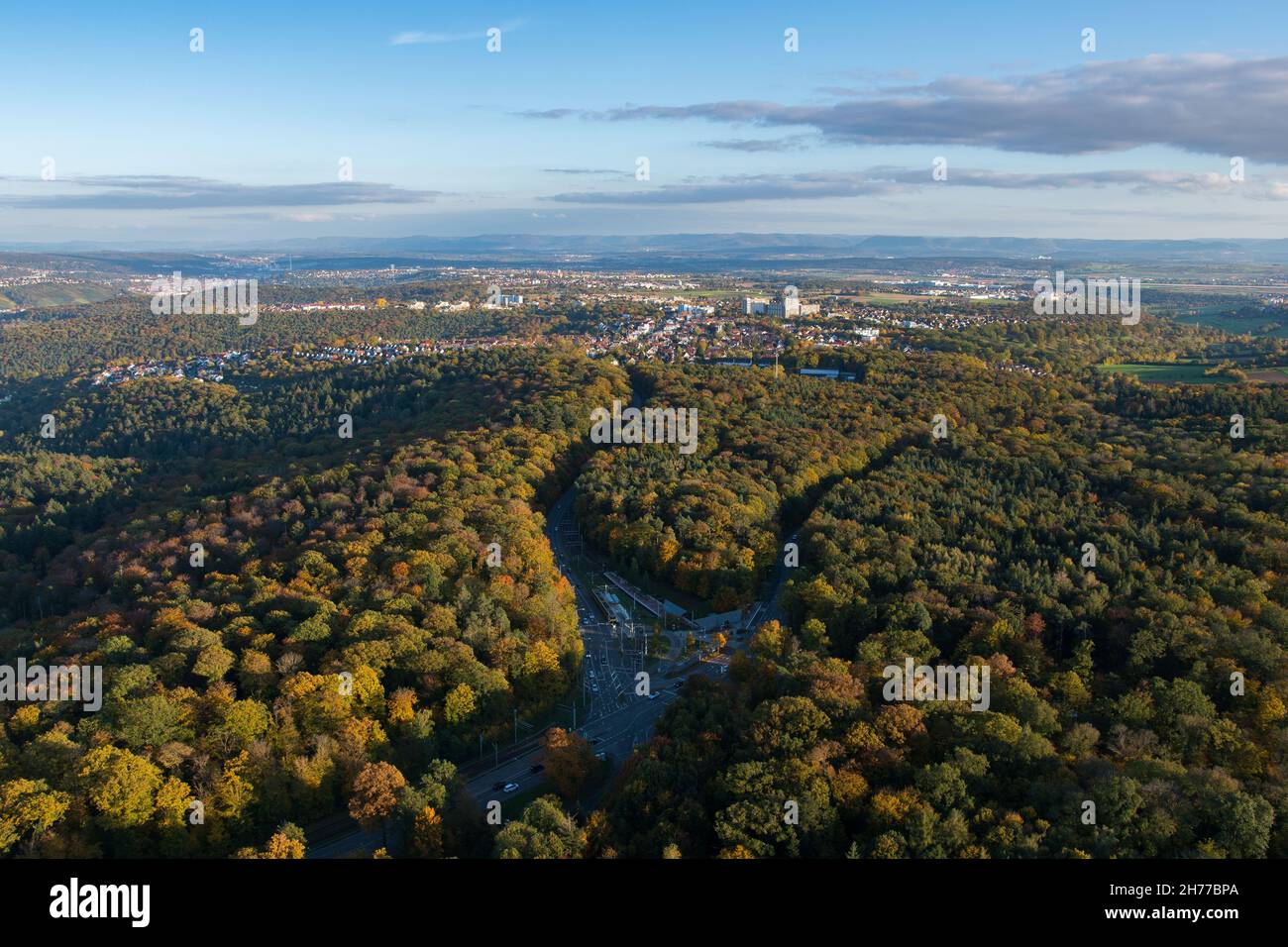 Stuttgart City Forest In Autumn High Resolution Stock Photography and ...