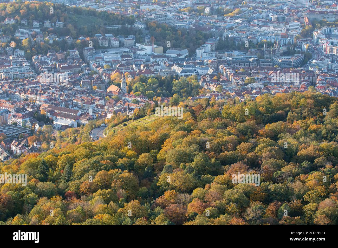 Stuttgart City Forest In Autumn High Resolution Stock Photography and ...