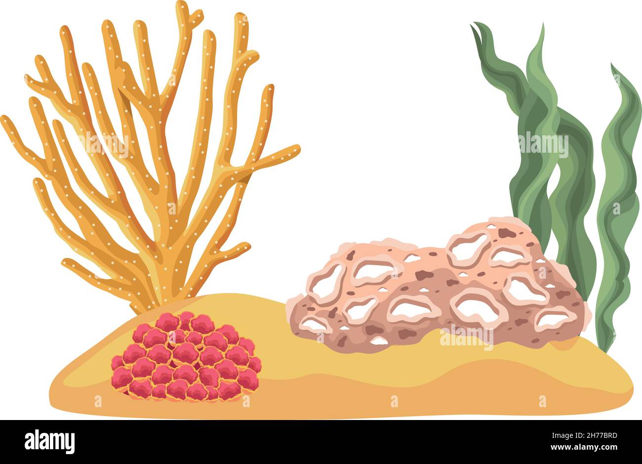 seaweed underwater scene Stock Vector Image & Art - Alamy