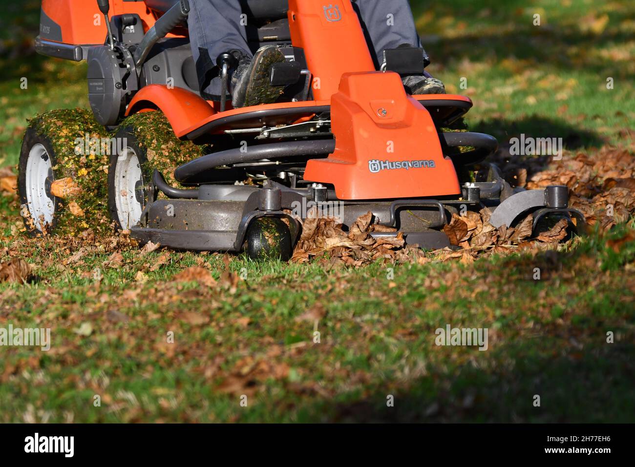 Cutting leaves discount with lawn mower